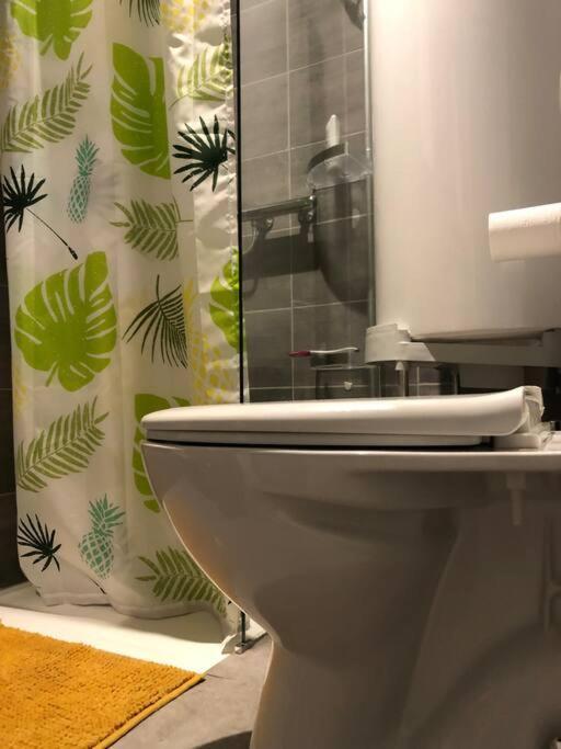 Superbe Appartement Meuble Refait A Neuf Tricastin Пиерлат Екстериор снимка